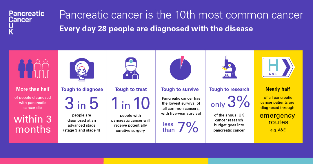 Pancreatic cancer statistics infographic for Instagram